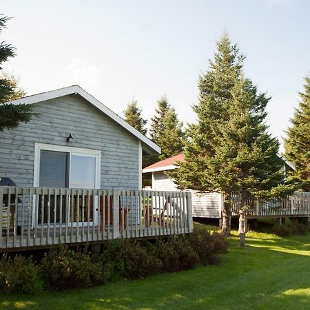 Stanley Bridge Country Resort And Conference Centre Exterior photo